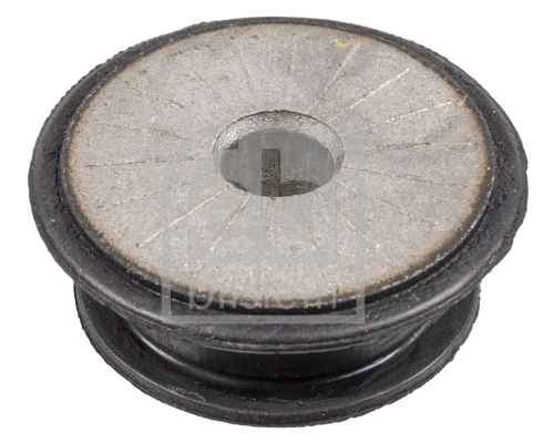 Bushing, axle beam